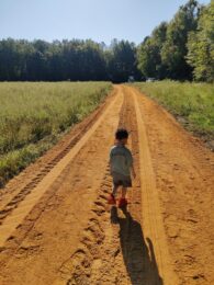 off-grid living driveway